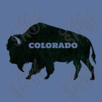 Colorado Lightweight Hoodie | Artistshot