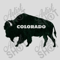 Colorado Men's Polo Shirt | Artistshot