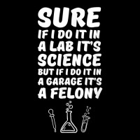 In A Lab It's Science In A Garage It's A Felony T Shirt Zipper Hoodie | Artistshot