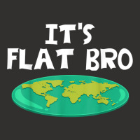 Earth Is Flat Funny World Theory Map T Shirt Champion Hoodie | Artistshot