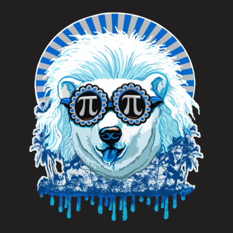 Pi Polar Bear T-shirt | Artistshot