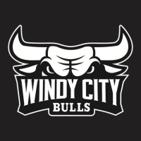 The Windy City Bulls T-shirt | Artistshot