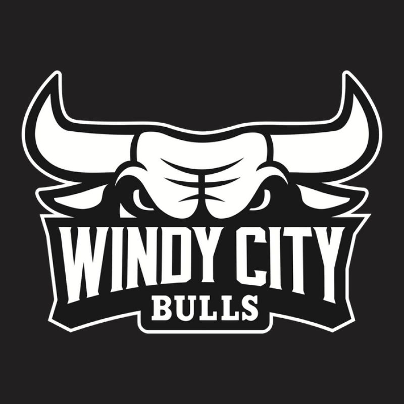 The Windy City Bulls T-shirt | Artistshot