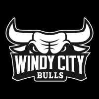 The Windy City Bulls Zipper Hoodie | Artistshot