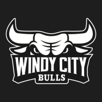 The Windy City Bulls Classic T-shirt | Artistshot