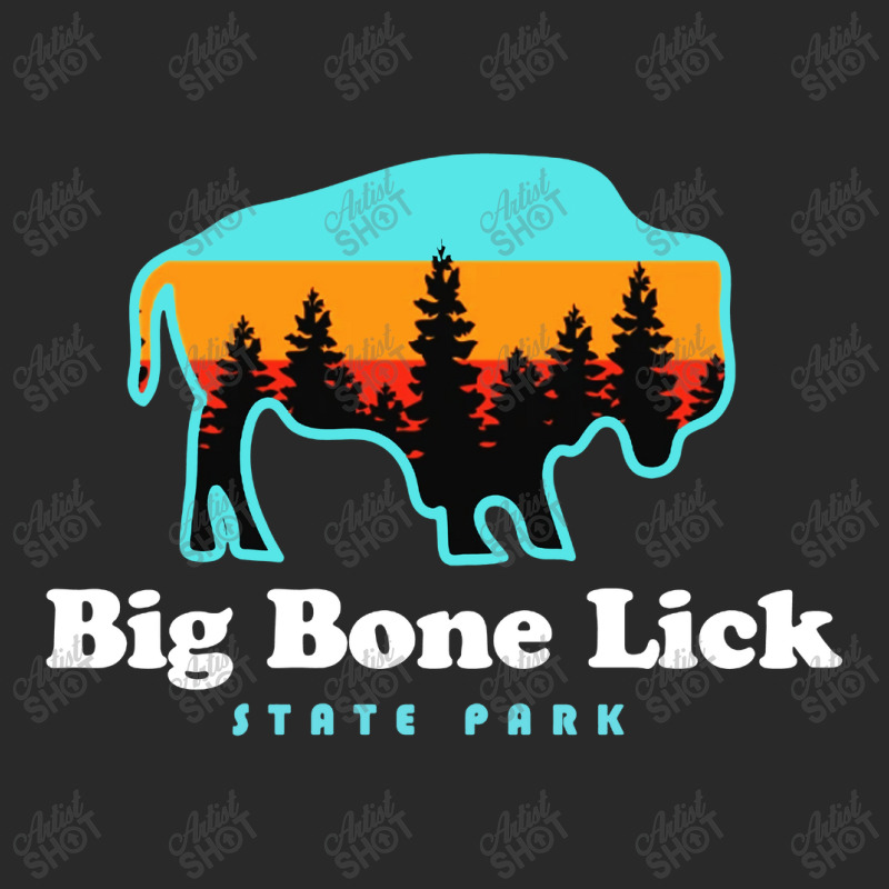 Big Bone Lick State Park Kentucky Bison Fossils Toddler T-shirt by Mblentot | Artistshot