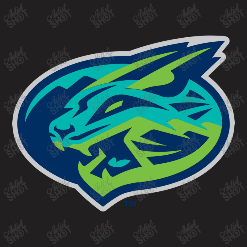 The-lynchburg-hillcats-pen T-shirt | Artistshot