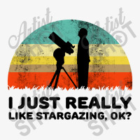 Funny I Just Really Like Stargazing Ladies Fitted T-shirt | Artistshot