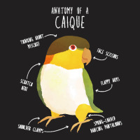 Caique T  Shirt Anatomy Of A Black  Headed Caique T  Shirt T-shirt | Artistshot