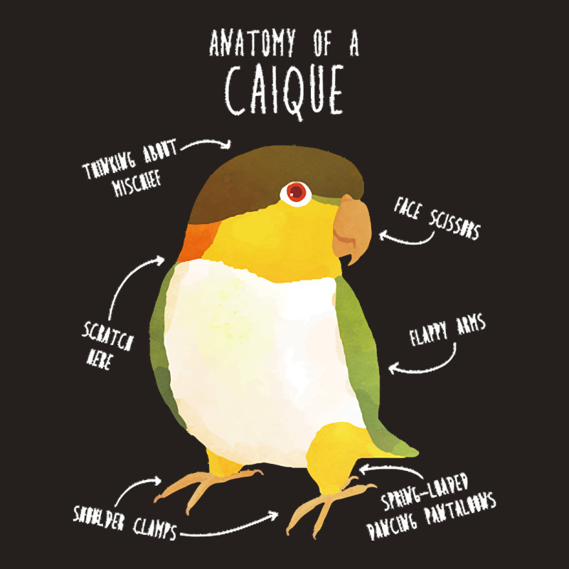 Caique T  Shirt Anatomy Of A Black  Headed Caique T  Shirt Tank Top | Artistshot