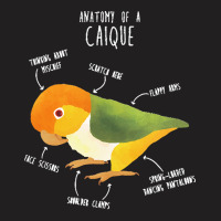 Caique T  Shirt Anatomy Of A White  Bellied Caique T  Shirt T-shirt | Artistshot