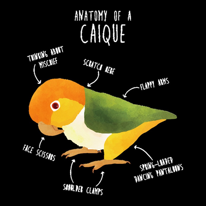 Caique T  Shirt Anatomy Of A White  Bellied Caique T  Shirt Pocket T-shirt | Artistshot