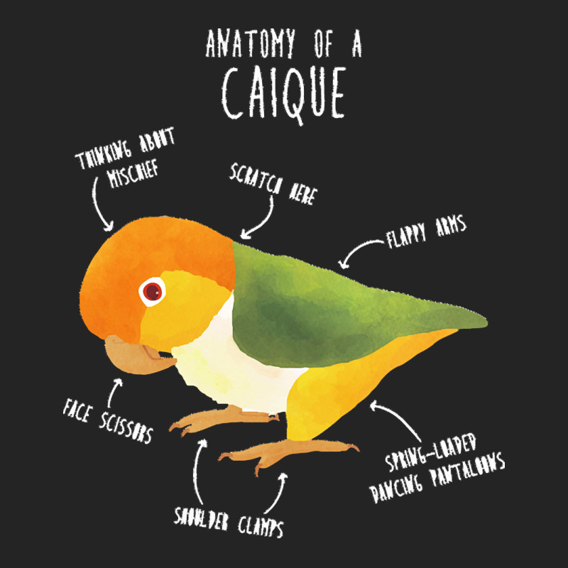 Caique T  Shirt Anatomy Of A White  Bellied Caique T  Shirt 3/4 Sleeve Shirt | Artistshot