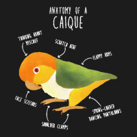 Caique T  Shirt Anatomy Of A White  Bellied Caique T  Shirt Hoodie & Jogger Set | Artistshot