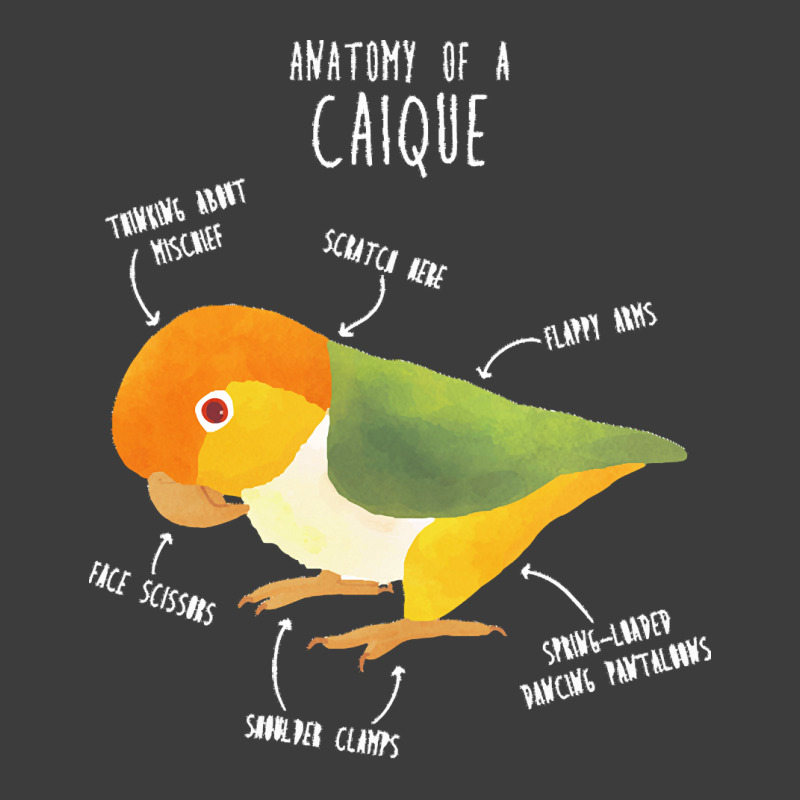 Caique T  Shirt Anatomy Of A White  Bellied Caique T  Shirt Men's Polo Shirt | Artistshot