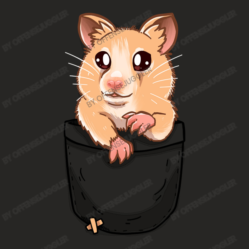 Hamster Guinea Pig Pocket Cute Hamster Pet49 Hamsters Ladies Fitted T-Shirt by offensejuggler | Artistshot