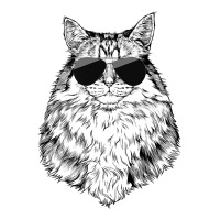 Siberian Cat Longhaired Cat With Sunglasses Premium T Shirt Youth Hoodie | Artistshot