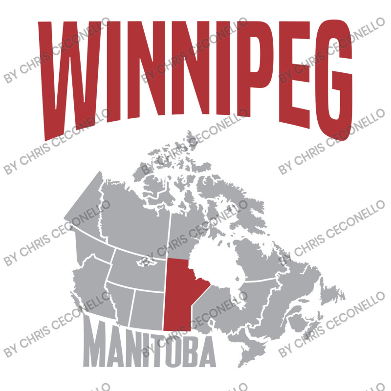 Custom Winnipeg Manitoba Youth Hoodie By Chris Ceconello Artistshot
