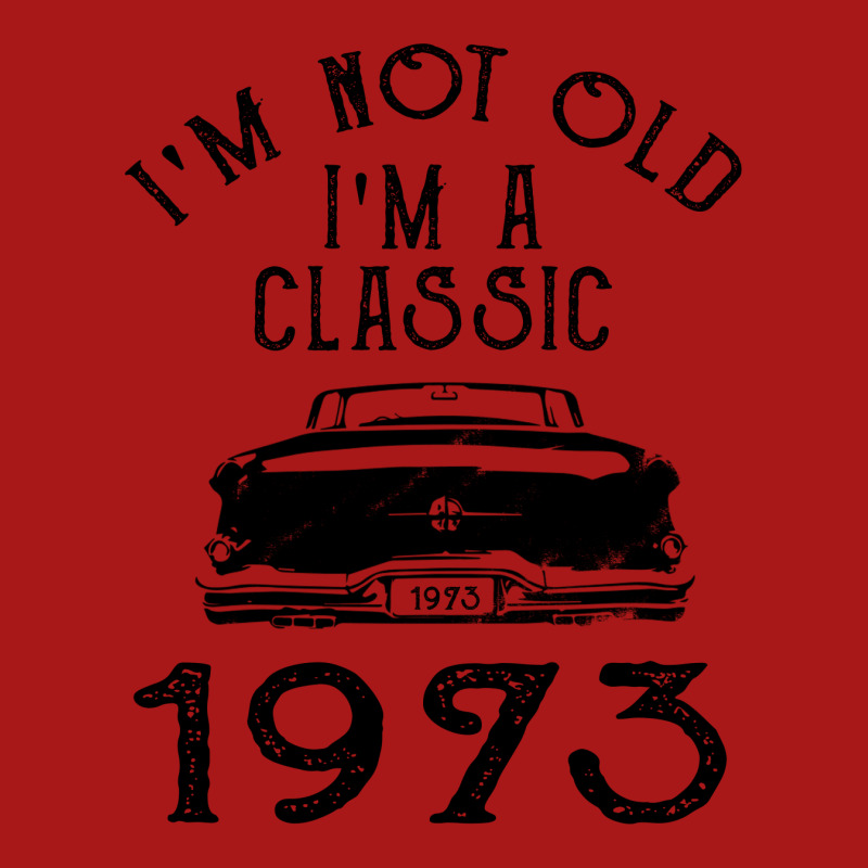 I'm Not Old I'm A Classic 1973 Hoodie & Jogger Set | Artistshot
