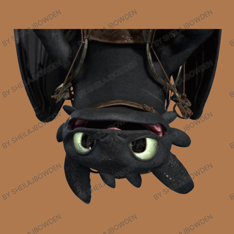 Night Fury Is Black Dragon Vintage Short | Artistshot