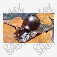 Snail Art Scorecard Crop Tee | Artistshot