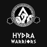 Warriors Oval Patch | Artistshot