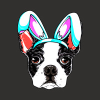 Boston Terrier Easter Bunny Ears Funny Boys Champion Hoodie | Artistshot