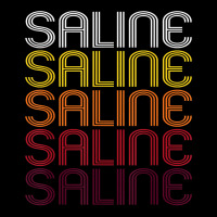 Saline, Mi  Vintage Style Michigan T Shirt V-neck Tee | Artistshot