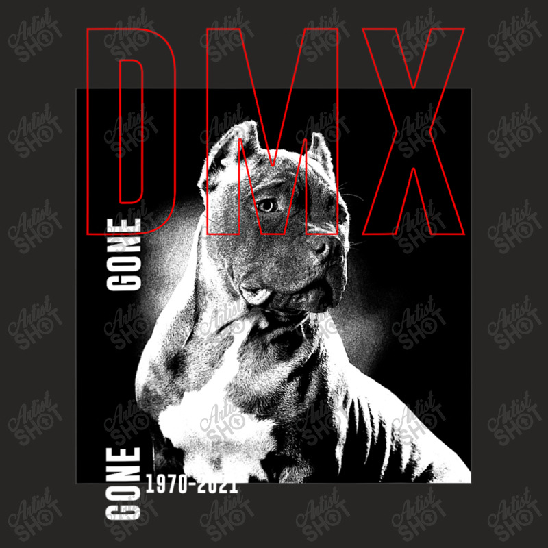 Pit.bull  Ter.ri.er  Dog  With  D.m.x   Gone   T Shirt Ladies Fitted T-Shirt by CUSER3146 | Artistshot