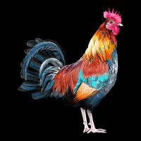 Watercolor Clipart Rooster Cropped Sweater | Artistshot