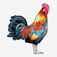 Watercolor Clipart Rooster Ladies Polo Shirt | Artistshot