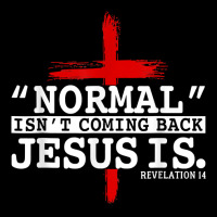 Normal Isn't Coming Back But Jesus Is Revelation 14 Costume T Shirt Cropped Hoodie | Artistshot