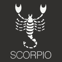 Scorpio Horoscope Astrology T Shirt Champion Hoodie | Artistshot