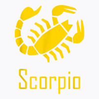 Scorpio Scorpion Zodiac Birthday Constellation Gift T Shirt T-shirt | Artistshot