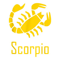 Scorpio Scorpion Zodiac Birthday Constellation Gift T Shirt Unisex Hoodie | Artistshot