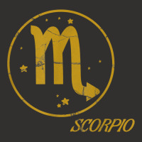 Scorpio Star Sign Zodiac Astrology Vintage Retro Birthday T Shirt Champion Hoodie | Artistshot