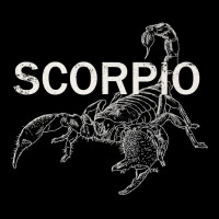 Scorpio T Shirt For The Astrology Or Scorpion Lovers Lightweight Hoodie | Artistshot