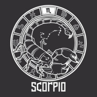 Scorpio Zodiac Sign October & November Birthday T Shirt Vintage Hoodie | Artistshot