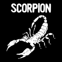 Scorpion Astrology Zodiac Sign T Shirt Lightweight Hoodie | Artistshot