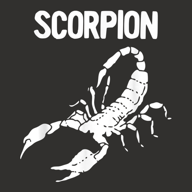 Scorpion Astrology Zodiac Sign T Shirt Champion Hoodie | Artistshot