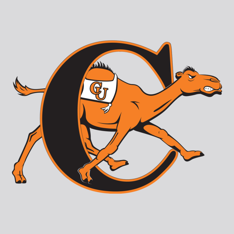 Campbell Fighting Camels Women's Triblend Scoop T-shirt by abdarshop | Artistshot