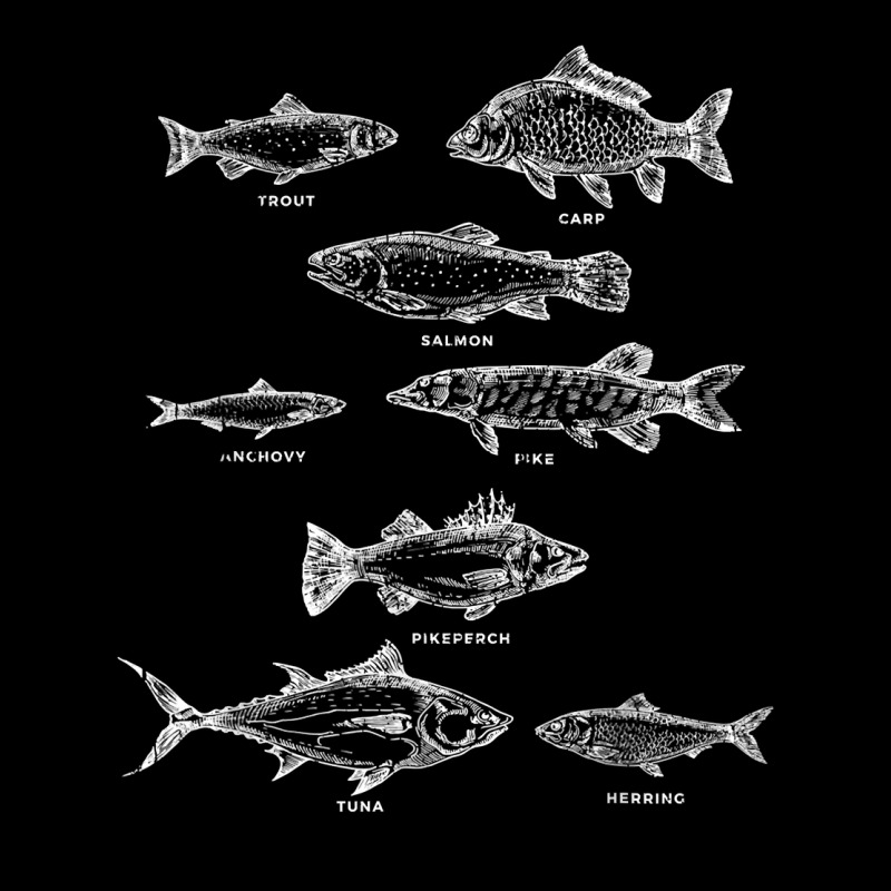 Fish Species Collection Biologist Fishkeeping Animal Fish T Shirt Pocket T-Shirt by bibonzgulnacqo | Artistshot