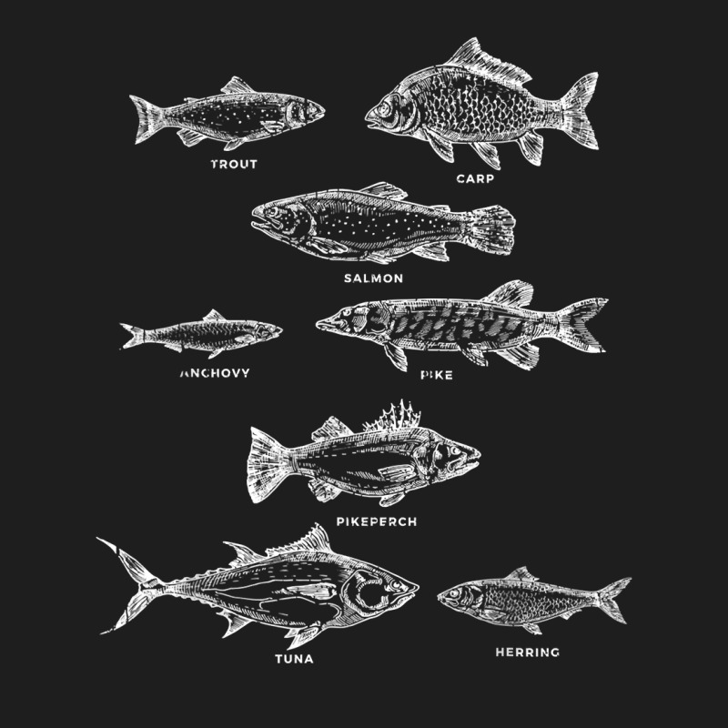 Fish Species Collection Biologist Fishkeeping Animal Fish T Shirt Classic T-shirt by bibonzgulnacqo | Artistshot