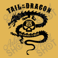 Tail Of The Dragon Vintage Hoodie And Short Set | Artistshot