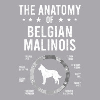 Anatomy Of Belgian Malinois Dog Lover Youth 3/4 Sleeve | Artistshot