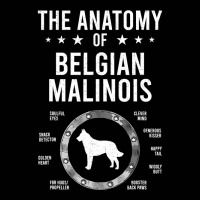 Anatomy Of Belgian Malinois Dog Lover Toddler 3/4 Sleeve Tee | Artistshot