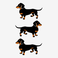 Black And Tan Dachshunds Classic T-shirt | Artistshot