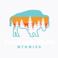 Jackson Hole Wyoming Bison Mountains Retro Pullover T-shirt | Artistshot