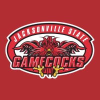 Gamecocks Jacksonville Ladies Fitted T-shirt | Artistshot