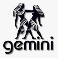 Gemini Ladies Fitted T-shirt | Artistshot